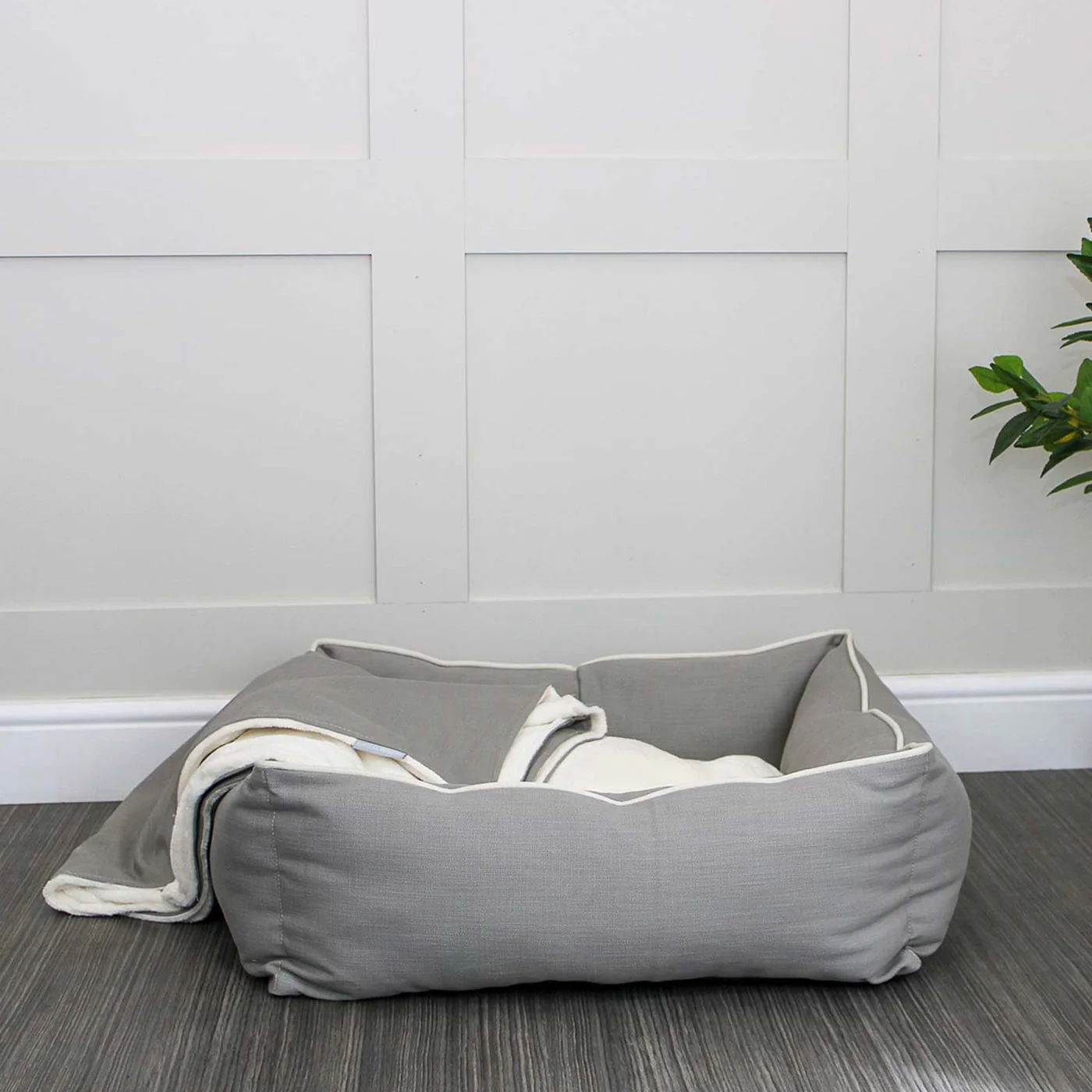 Box Bed For Dogs in Savanna