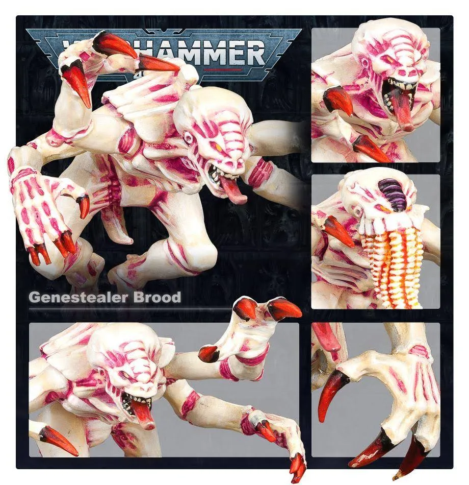 Warhammer 40K Tyranids Battleforce Brood Swarm