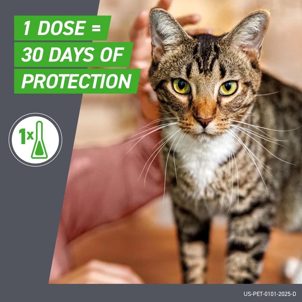 FRONTLINE Plus for Cat & Kitten Flea & Tick Spot Treatment, 8 Count