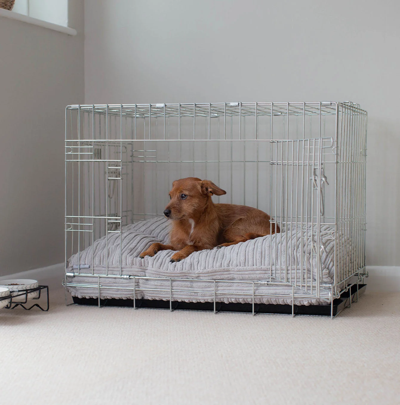 Dog Cushion in Light Grey Essentials