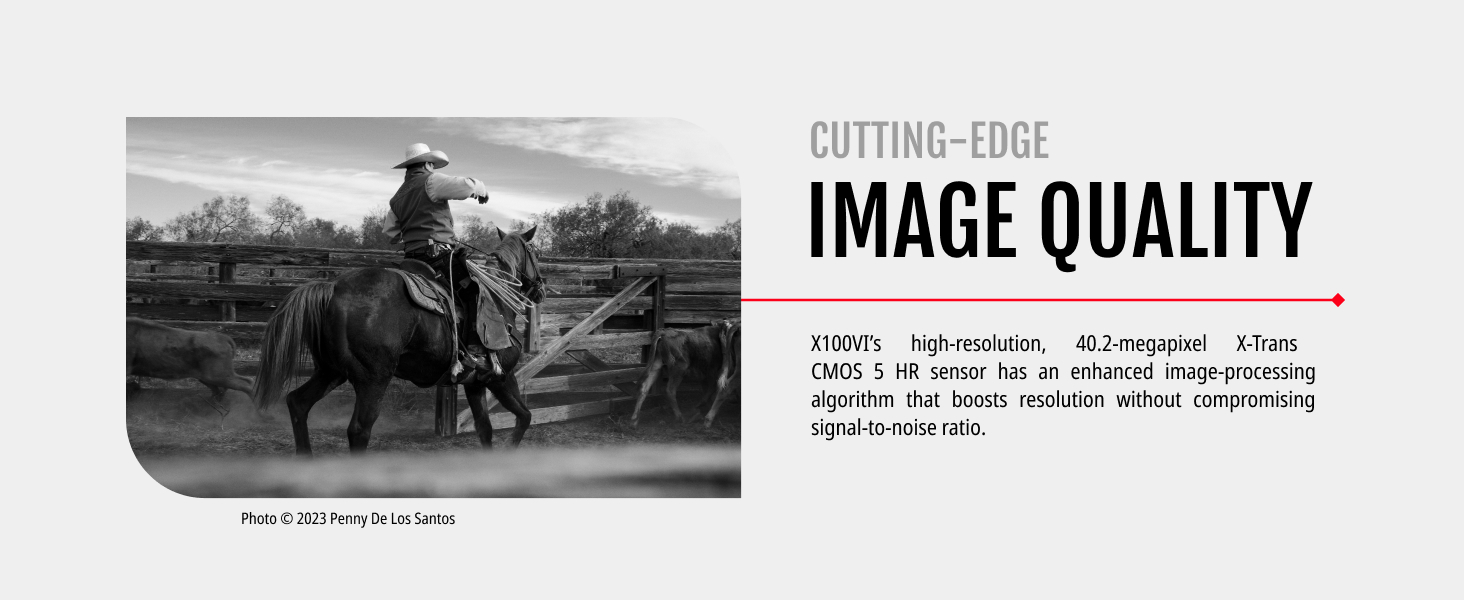 Pasted Image