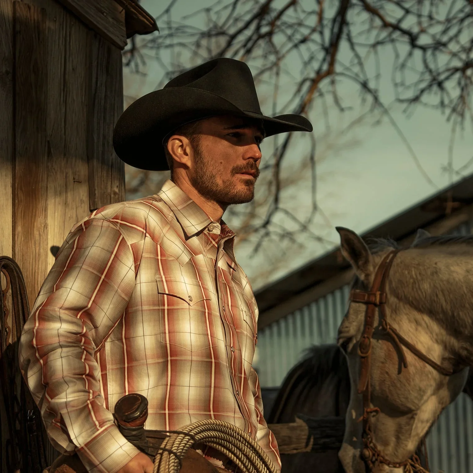 El Amo 500X Premier Cowboy Hat