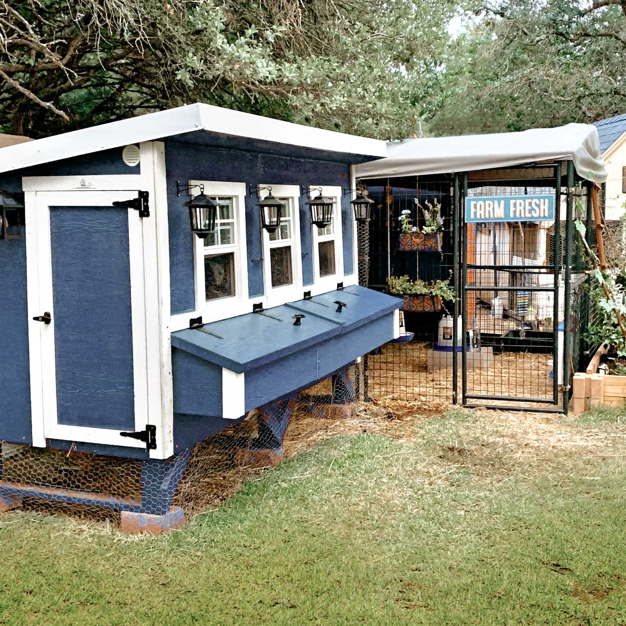 OverEZ Chicken Coop X-Large