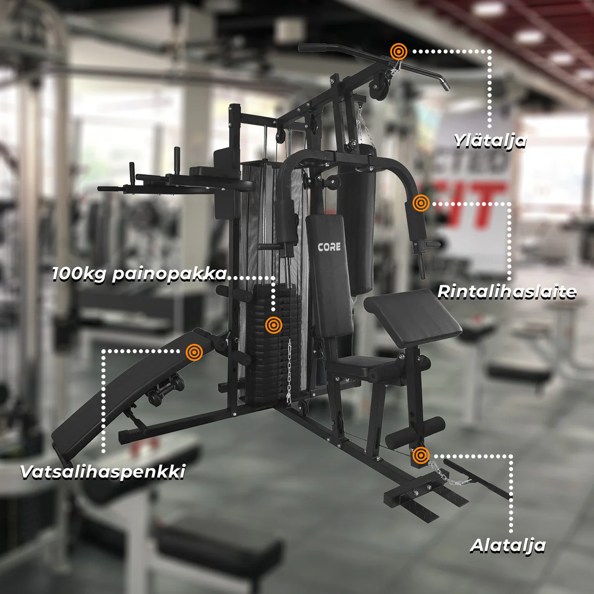 Core Kraftstation 100kg